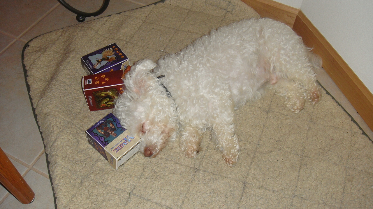 DSC00198 - Copy.JPG